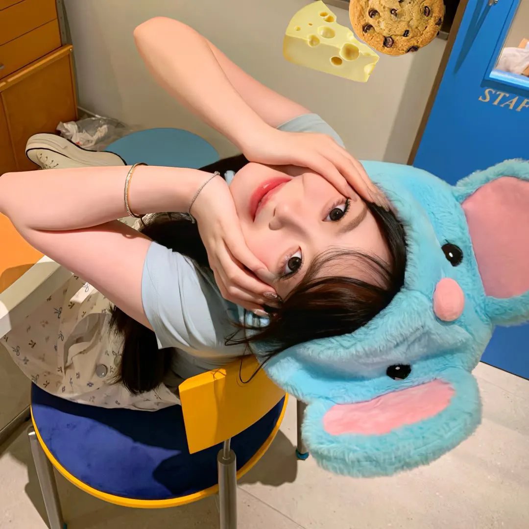 狗脸的岁月